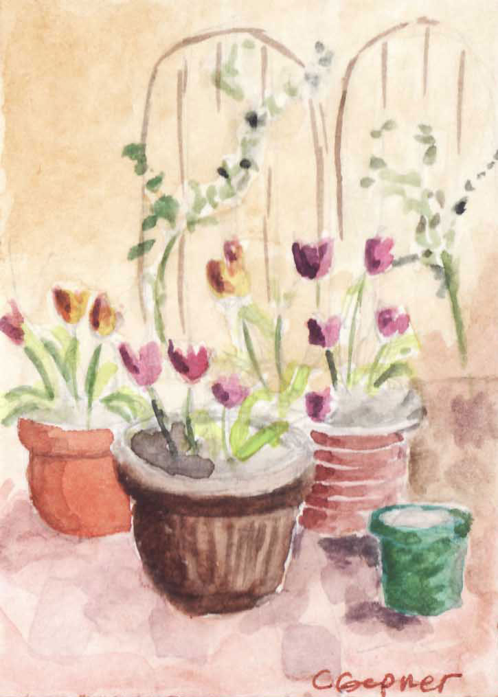 Flowers, Carol Gepner, watercolor 