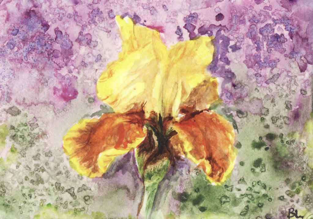 Iris, Bev Larson, watercolor, SOLD