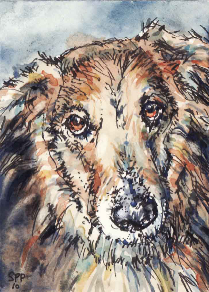Loyalty, Sally Probasco, watercolor & ink, SOLD