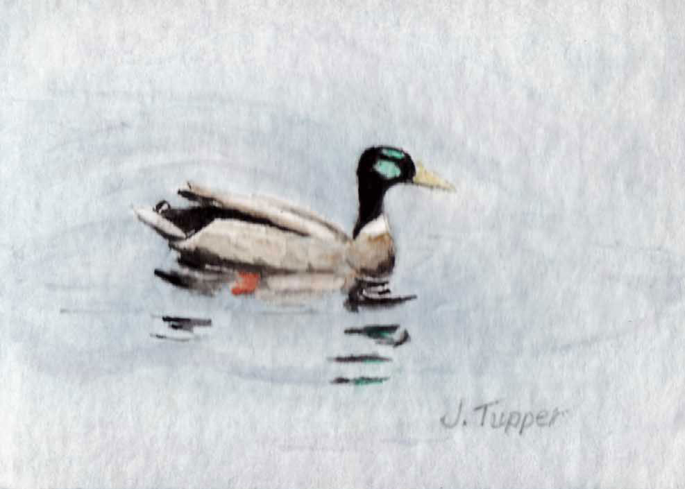 Stillness, Jean Tupper, watercolor 