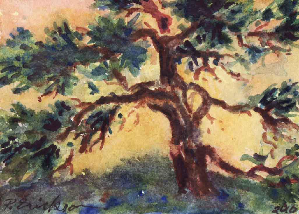 The Pine, Patricia Erickson, watercolor