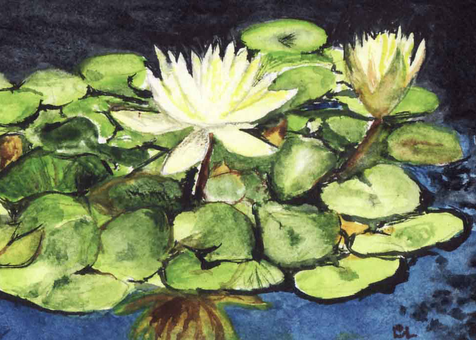 Water Lily, Bev Larson, watercolor