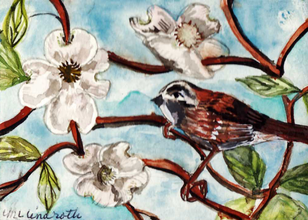 White Throat of Spring, Mary Lou Lindroth, watercolor, SOLD