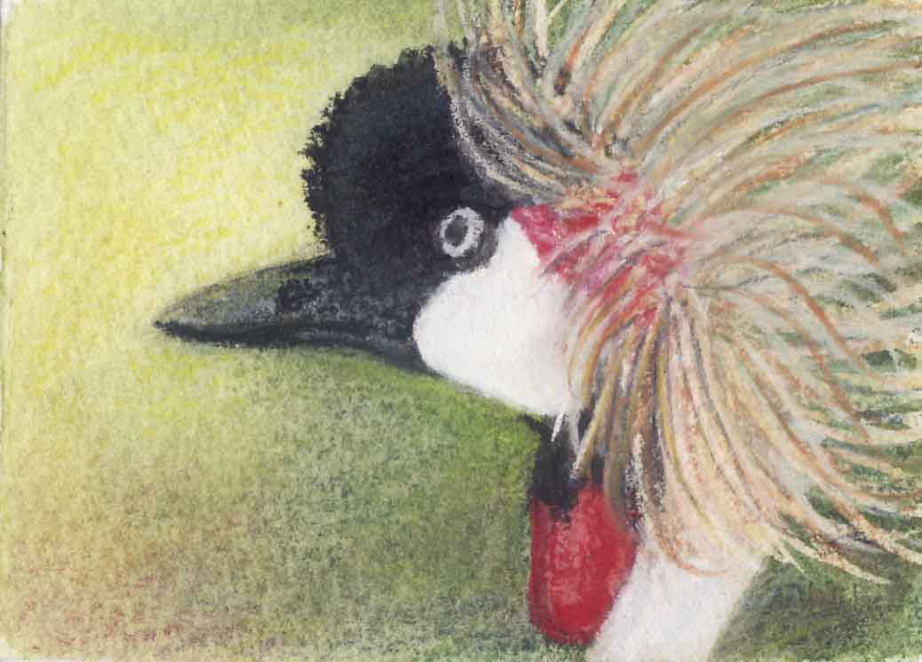 You Talking To Me? Betty Willmore, pastel